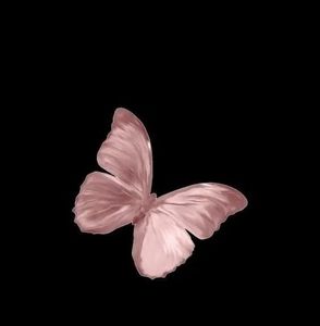 Meet your Posher, Dolores